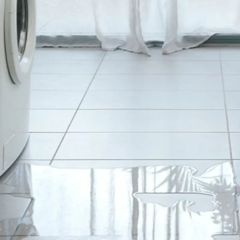 Appliance Leak Cleanup in Berrien Springs, MI