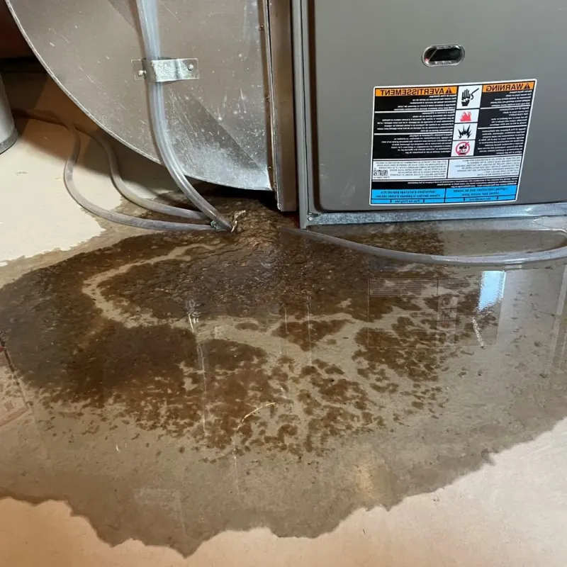 Pipe Burst and Leak Restoration in Berrien Springs, MI