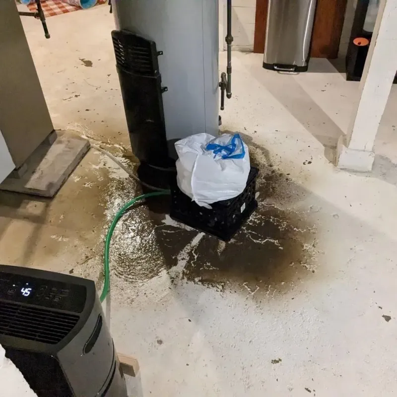 Sewage Backup Cleanup Service in Berrien Springs, MI